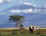 News from Mount Kilimanjaro